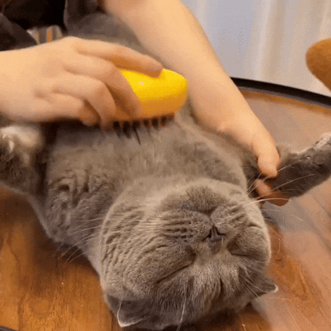 OLVÍDATE DEL PELO EN LA ROPA, SILLONES Y CAMAS